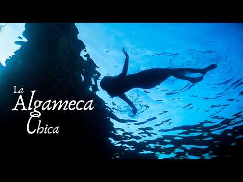 Tráiler de La Algameca Chica