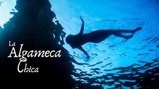 LA ALGAMECA CHICA | Documental - TRAILER
