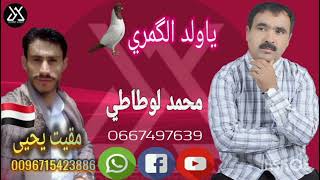جديد محمد لوطاطي 2024 ياولد الݣمري ربي عطاك جنحان mohammed lotati