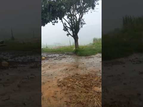chuva caindo em minas gerais vale do jequitinhonha #nixonmachadovariedades #valedojequitinhonha