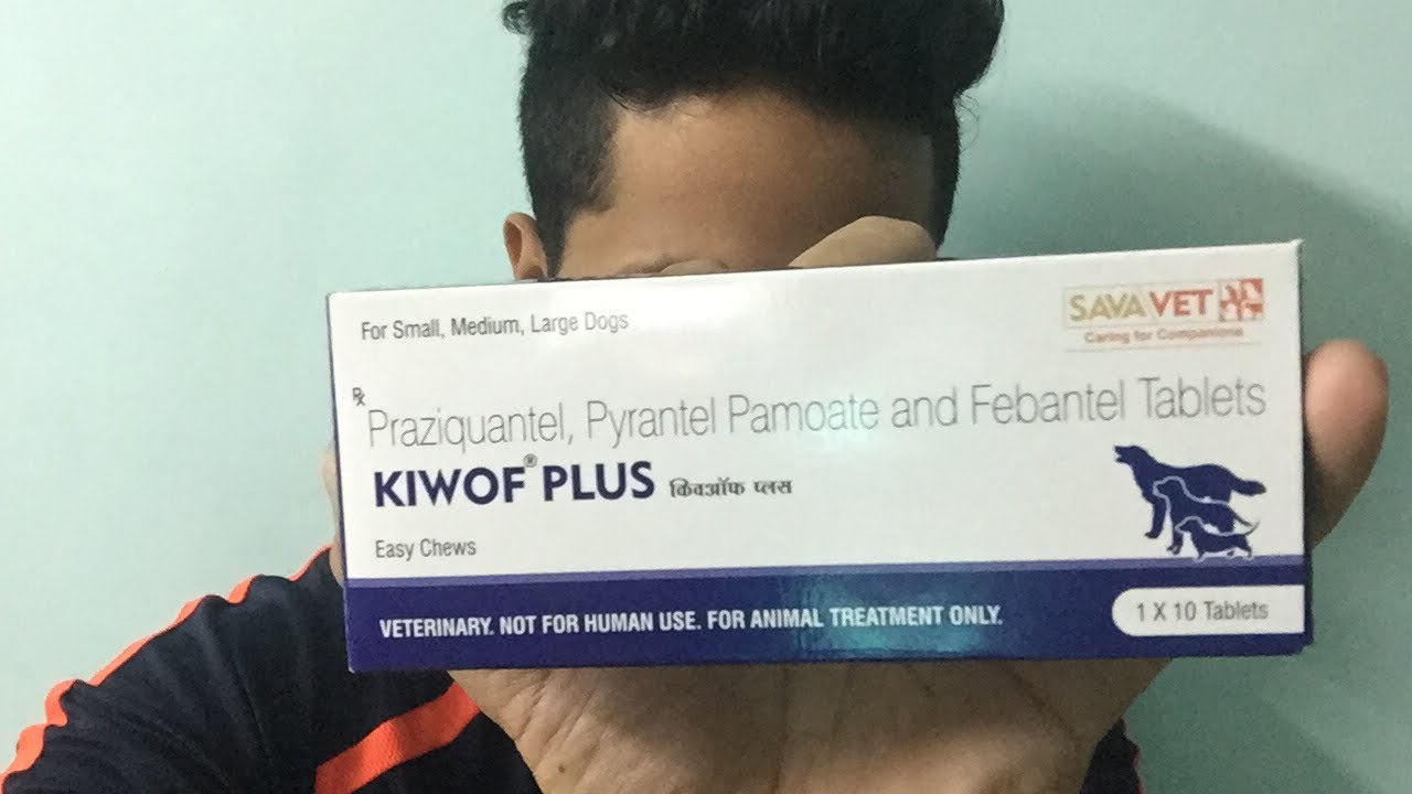 Deworming Tablets For Dogs