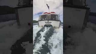 Tender views of the beautiful Holland America Noordam