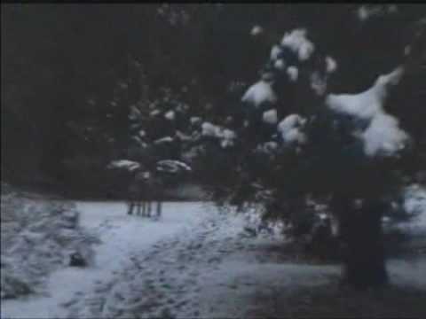 Durand Eastman Park Video 1