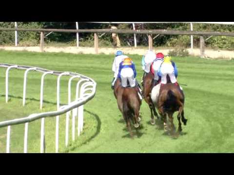 Dielsdorf/25.09.2016/Jockey Club - Gentlemen's Cup