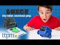 Boxer Interactive A I Robot Toy From Spin Master