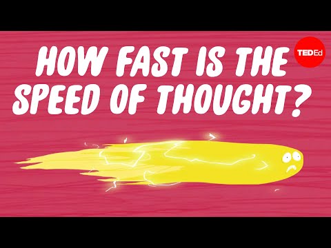 How fast is the speed of thought? - Seena Mathew