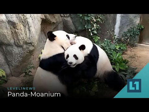 Level1 News April 17 2020: Panda-Moanium