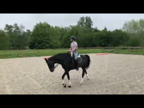 Jade Paillousse - Young Riders freestyle to music