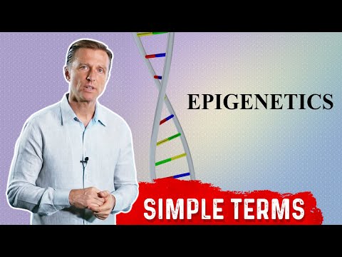 What Is Epigenetics: In Simple Terms - DNA Sequencing – Dr.Berg
