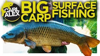 SURFACE FISHING for BIG CARP!