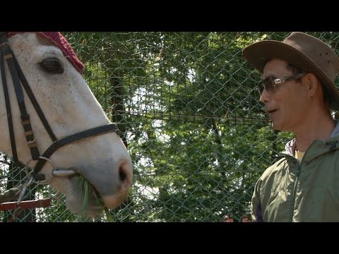 映画『うまがたり。』予告編