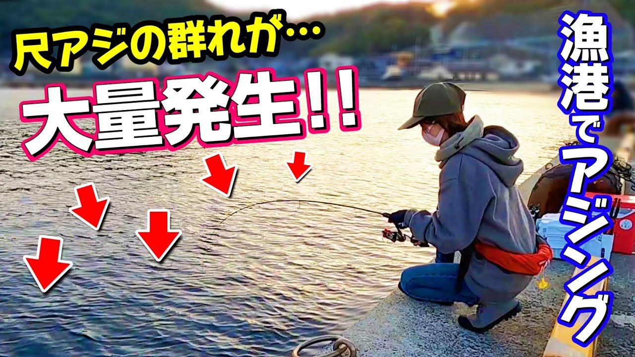 【アジング】漁港内に尺アジの群れが大量発生!! この仕掛けで釣れてます♪