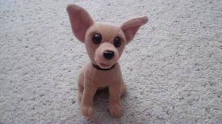 The Taco Bell Dog