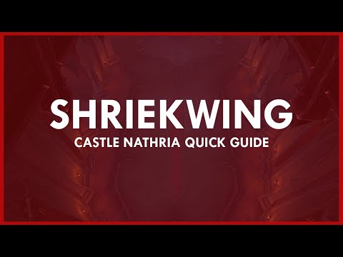 QUICK guide to Normal/Heroic SHRIEKWING | Castle Nathria Quick Guides