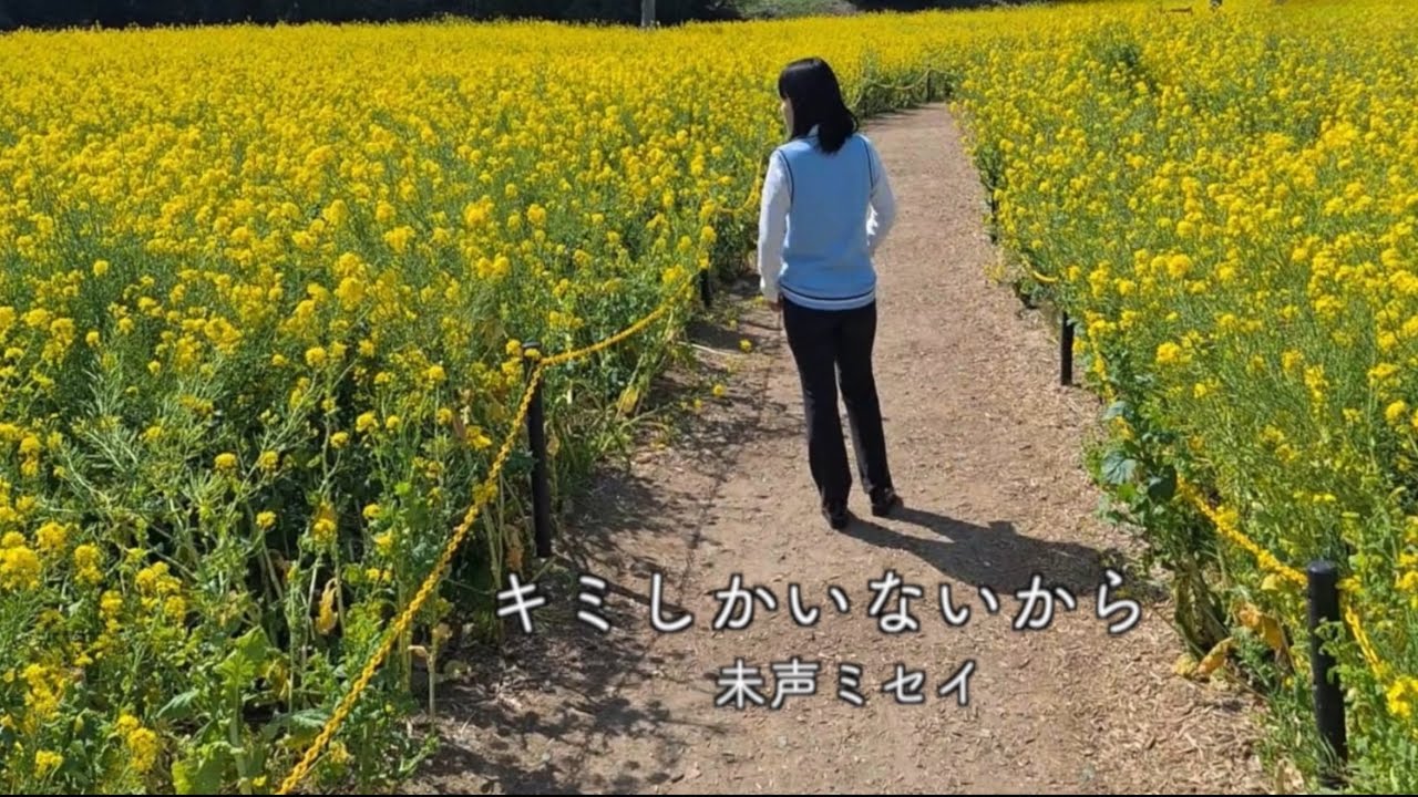 ⭐️🆕⭐️キミしかいないから👦🤝💐簡易版MV動画💝➡️４月に本格MV動画再掲載予定🔔🥹#朝ドラ風薫る　#ミセス　#大森元貴催し　#内田有紀　#今日好きクライストチャーチ編メンバー　#広末涼子