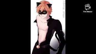 Chat Noir Sexy muisk