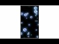 NewTemplate Video Background Full Screen Heart Effects Kinemaster Template Black Screen Status