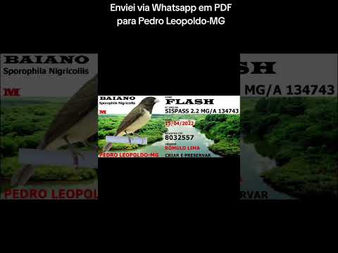 Enviei via Whatsapp em PDF para Pedro Leopoldo-MG🔥🫅