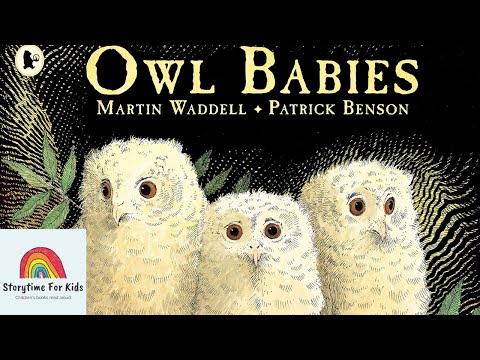 Storytime for kids read aloud - Owl Babies by Martin Waddell