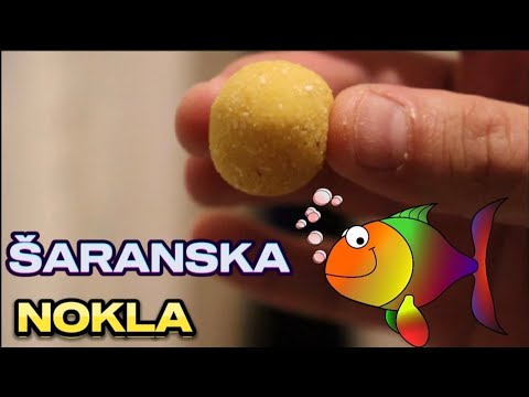 MAMAC ZA ŠARANA NA DIVLJIM VODAMA