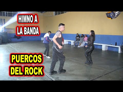 *** HIMNO A LA BANDA ROCK, PUERCOS DEL ROCK ***