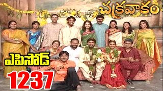 chakravakam telugu serial all episodes free download chakravakam telugu serial all episodes free download