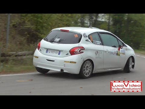 Rally Race Timorasso 2019 Lanza-Zambelli 208 R2B - Passaggi esterni