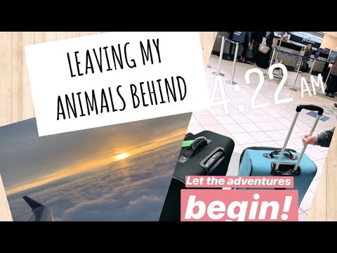 Prepping the Pet Sitter//Leaving My Pets for 2 Weeks!!