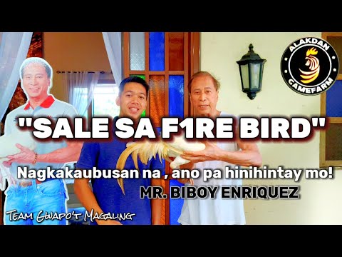 PROMO SALE BIBOY ENRIQUEZ