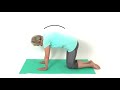 How to do the Cat Camel Stretch
