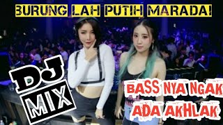 Download Lagu Gratis