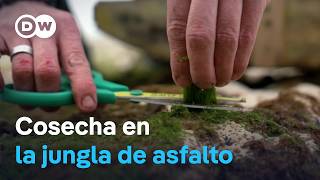 Thumbnail del capítulo