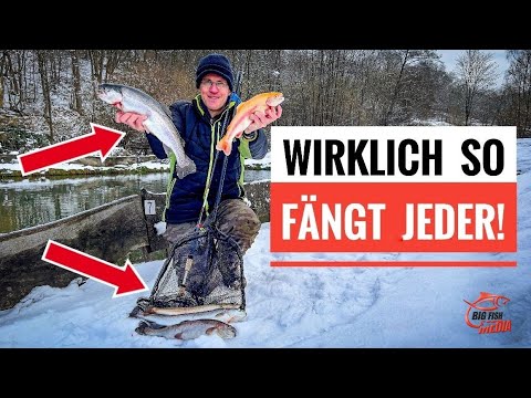 SO FÄNGT JEDER FORELLEN: Einfacher geht's nicht! GREWALD zeigen wie es funktioniert