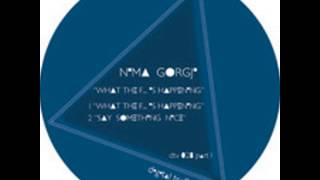 Nima Gorji - What The F... Is Happening (Original Mix) [Digital Traffik] (1) (1)