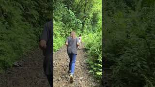 ハワイ1ヶ月ステイ、マノアの滝へハイキング🚶‍♀️#shorts #hawaiilife #hike #manoa #vlog