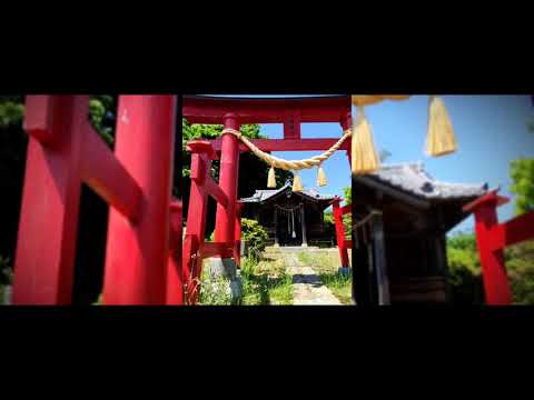 Long journey to Japan : Day 10 "Misaki" park