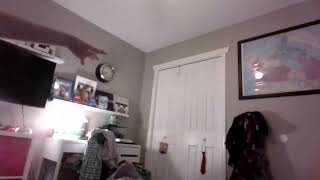 The Enderman show *EVOLVED* tralier/ alert