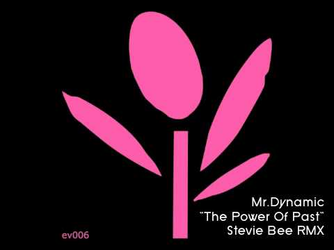 Mr.Dynamic - The Power Of Past 2012 - Stevie Bee Remix