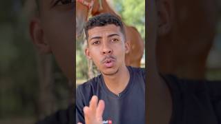 A constância de investir todo mês