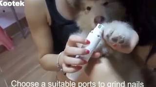 Pet Care - How to Use Electric Pet Nail Grinder