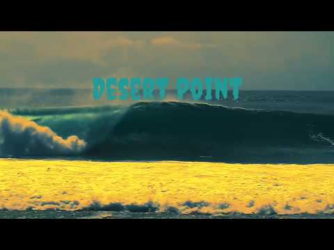 The Grower - Desert Point 🌵