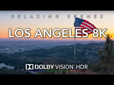 Driving Los Angeles in 8K HDR Dolby Vision - MidCity to Hollywood Hills Wisdom Tree
