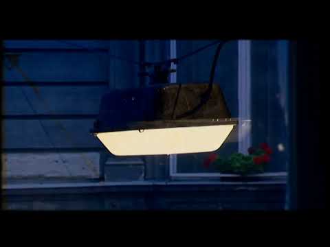 Irodalom (2009)