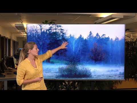 Höst, högtryck och dimma