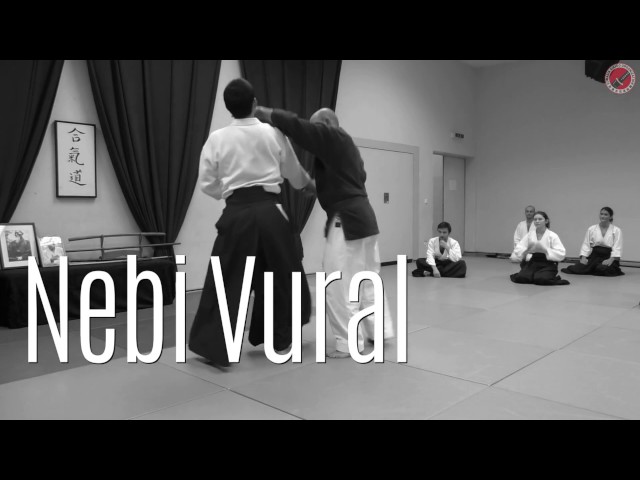 Aikido Seminar 2016