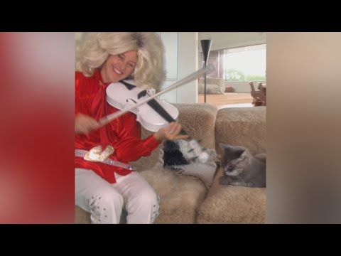 エレン、自分のリビングルームコンサートを開催 (Ellen Stages Her Own Living Room Concert)