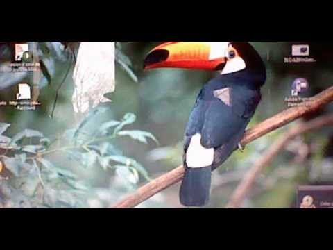 comment s'inscrire jeux tf1