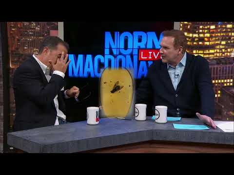 Jerry Seinfeld on Norm Macdonald live- Rodney Dangerfield- like a fly in a piece of amber