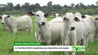 Miniatura do vídeo