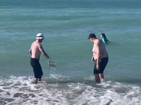 Beautiful Caspersen Beach in Venice, Florida - the shark tooth capital of the world.